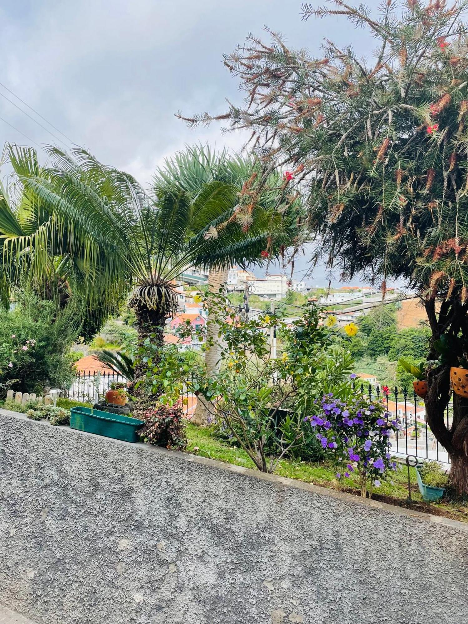 Hotel Cozy House Funchal  Exterior foto